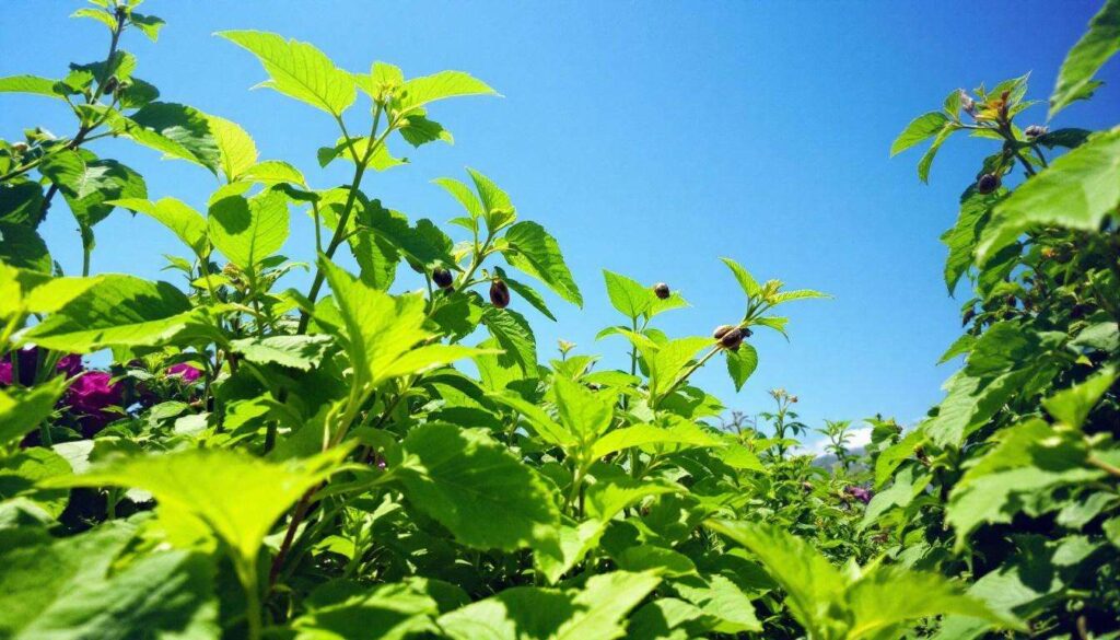 Niet koffiedik maar dit huismiddel verdrijft slakken definitief uit je tuin
